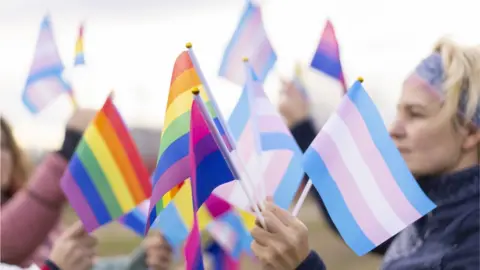 Getty Images Rainbow and trans flags