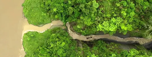 The river seen from the air