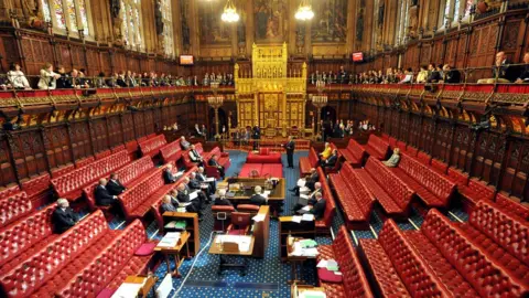 PA Media The interior of the House of Lords