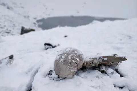 Getty Images Naturally preserved ancient human skeletons under snow found beside high altitude alpine Roopkund lake in Indian Himalayas.