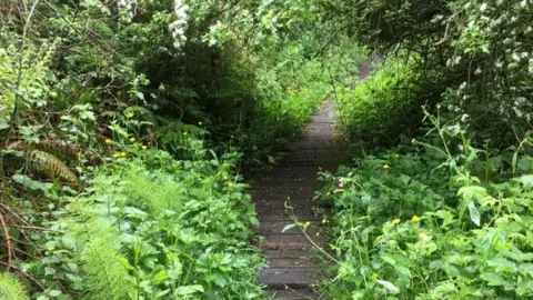 Ramblers Cymru Caim path