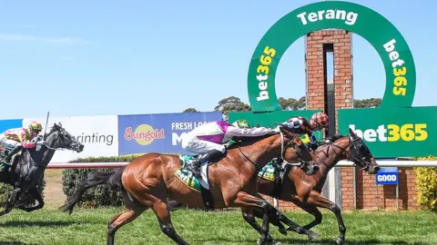 Getty Images Bet365 Protest Promise 3YO Maiden Plate in Terang, Australia.