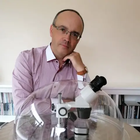 David A Lindon David A Lindon