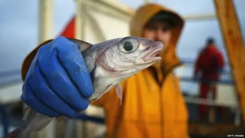 Getty Images fisherman holding a haddock