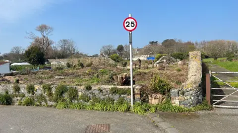 A speed sign which says 25 miles per hour in front of a cleared field, with a granite wall next to it. There are a number of tree stumps in the field. 