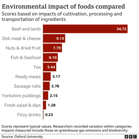 . Environmental Impact Graphic