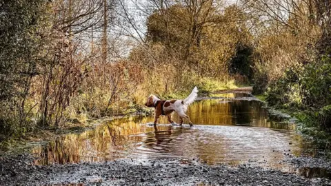 Daniel Williams FRIDAY - Southcote Lock