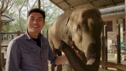 Henry Golding and an elephant