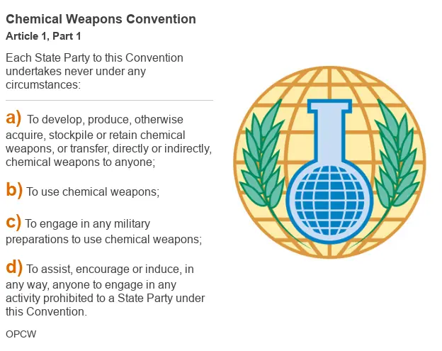 Datapic outlining Article 1, Part 1 of the chemical weapons convention