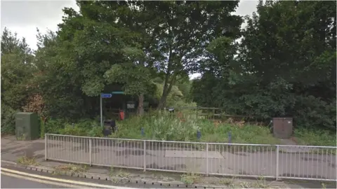 Google Mill Meadows nature reserve