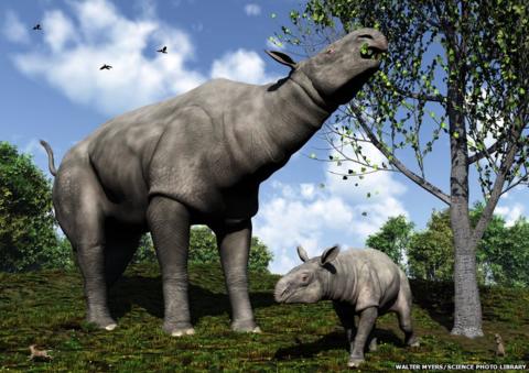What are the biggest animals that have ever lived? - CBBC Newsround