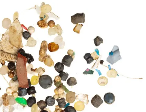 Greenpeace Plastic sample taken from the River Mersey