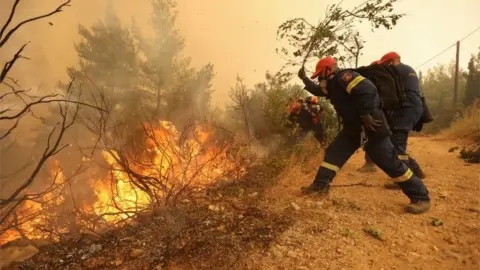 Reuters Evia wildfires