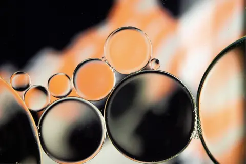 Debbie Sasso Oil bubbles in water