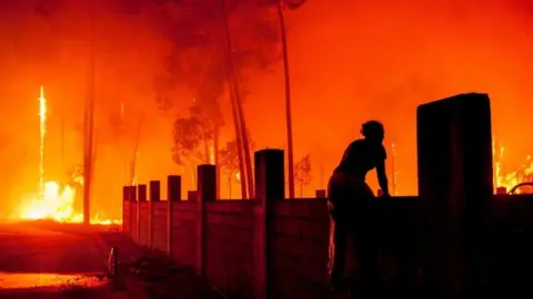 EPA A woman combats a forest fire in Vieira de Leiria, Marinha Grande, Portugal 16/10/2017