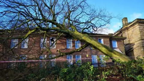 SYFR A large fallen tree rests on the roof of a hotel