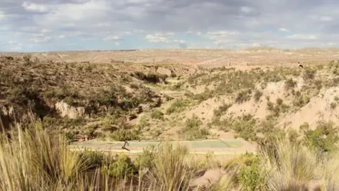 The roofs of the Walipinis are just visible against the arid landscape of the Altiplano.