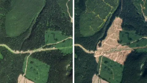 PLANET LABS PBC Satellite image showing forest cut down in British Columbia