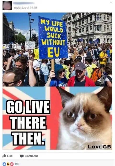 Facebook Pro-Brexit Facebook post, telling EU supporters to leave Britain