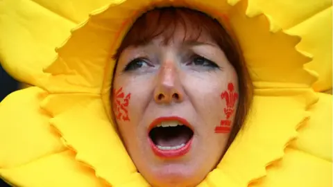 Getty Images Welsh rugby fan