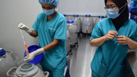 Getty Images A staff member at the KL Fertility Centre demonstrating for the media part of the egg freezing procedure in Kuala Lumpur