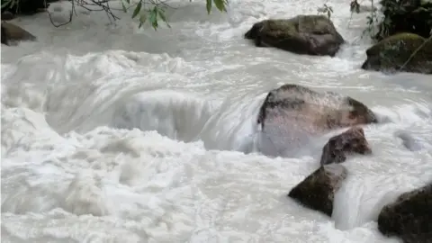 Environment Agency River Yealm