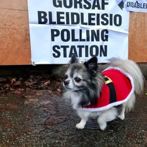 @hannahrwelsh Luca braves the cold in Cardiff. Luckily he's got his Santa coat on while he waits for his owner Hannah at a polling station in Cardiff