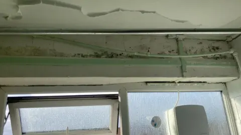 LDRS Mould above window in flat