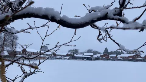 Denbigh Cricket Pitch