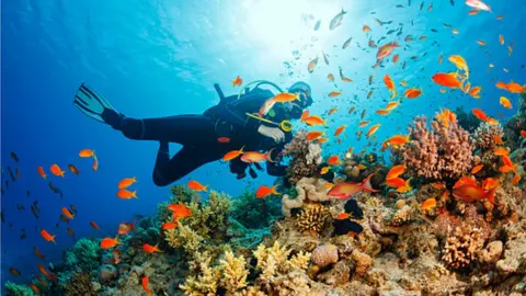 Getty Images Diver in the Red Sea