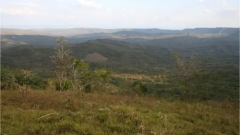 World Land Trust Tanzanian forest