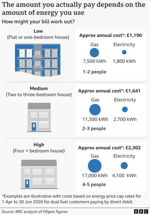 Graphic showing how much energy is used for different types of household.