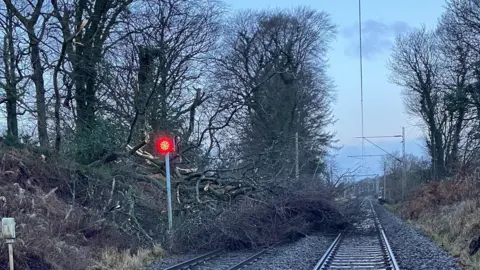 Network Rail Fallen tree at Whitecraigs on the Glasgow Central to Neilston line