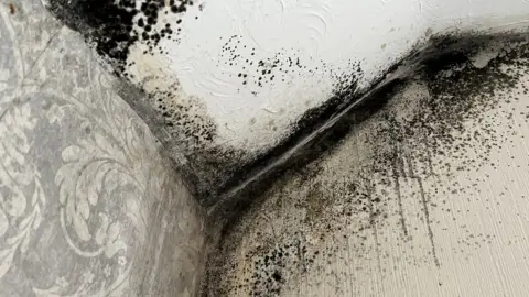 Emma Baugh/BBC News The corner of a bedroom wall with black mould