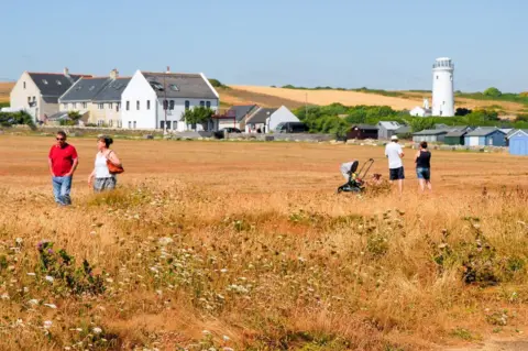 Stuart Fretwell/REX/Shutterstock The continuing heatwave has turned the grass brown at Portland Bill.