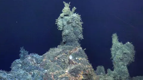 Natural History Museum Underwater vent