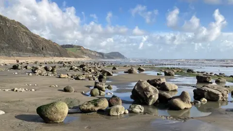 Mr T WEDNESDAY - Charmouth