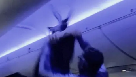 Man trying to catch pigeon flying through plane cabin with a jacket