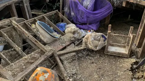 Webbers Room covered in pigeon poo