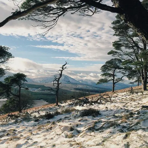 James Rebanks A wintery landscape