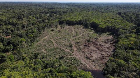 Amazon Rainforest: Highest deforestation rate in six years - BBC News