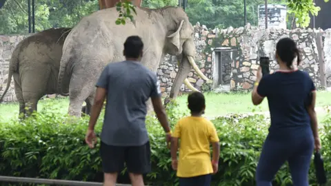 Getty Images People look elephants at Delhi Zoo on the first day of its reopening, on August 1, 2021 in New Delhi, India. The Delhi zoo was reopened to the public on Sunday, three and a half months after it was temporarily shut due to a surge in coronavirus cases during the second wave.