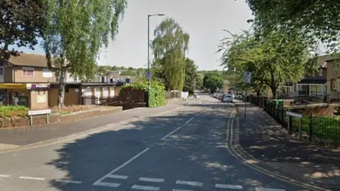 View of Abbotsford Drive from the top of the road