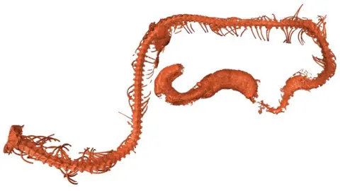 Ming BAI, Chinese Academy of Sciences TBC