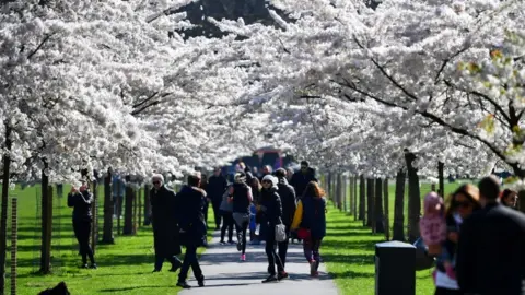 Reuters Battersea Park