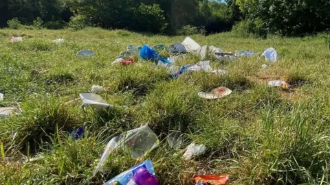 Litter at the site