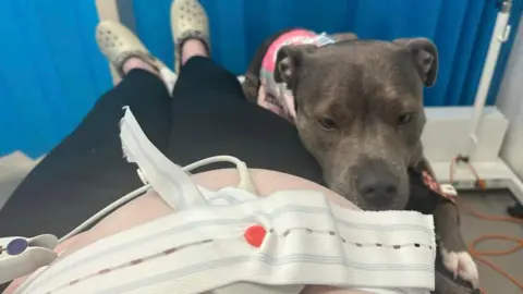 Amee Tompkins Belle with her owner Amee in hospital