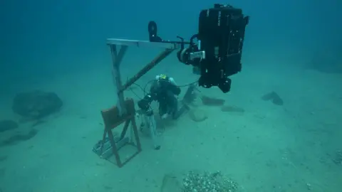 Silverback/Netflix Our Planet