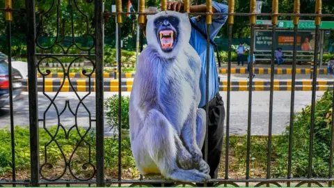 PTI A cut-out of a Langur in central Delhi