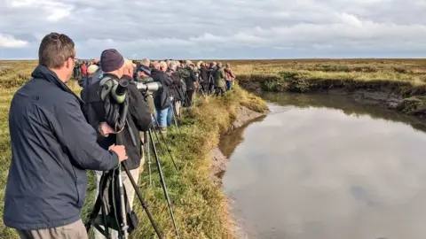 Mike Hoit Birdwatchers